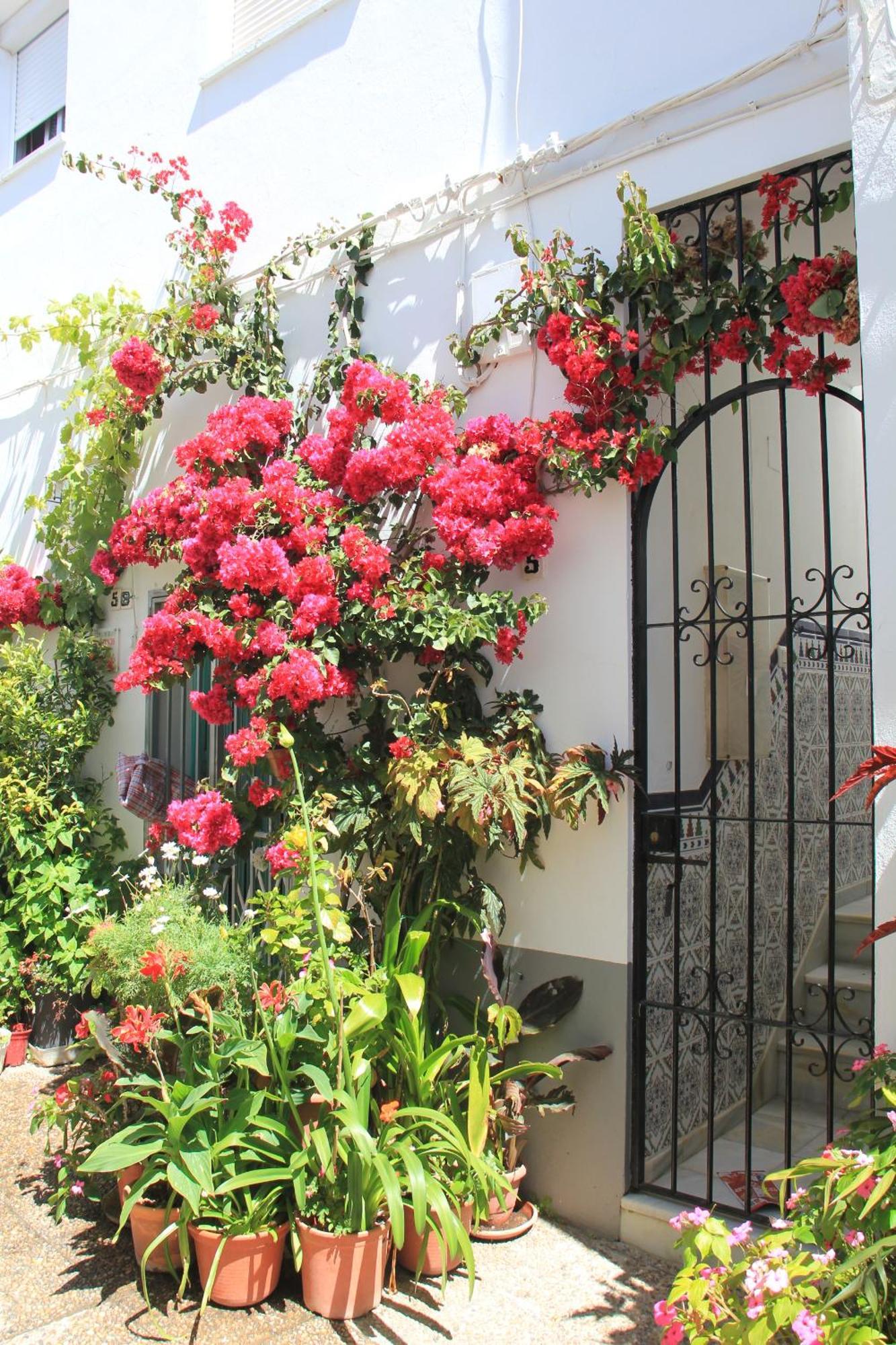 Villa Casa Magallanes Conil à Conil De La Frontera Extérieur photo